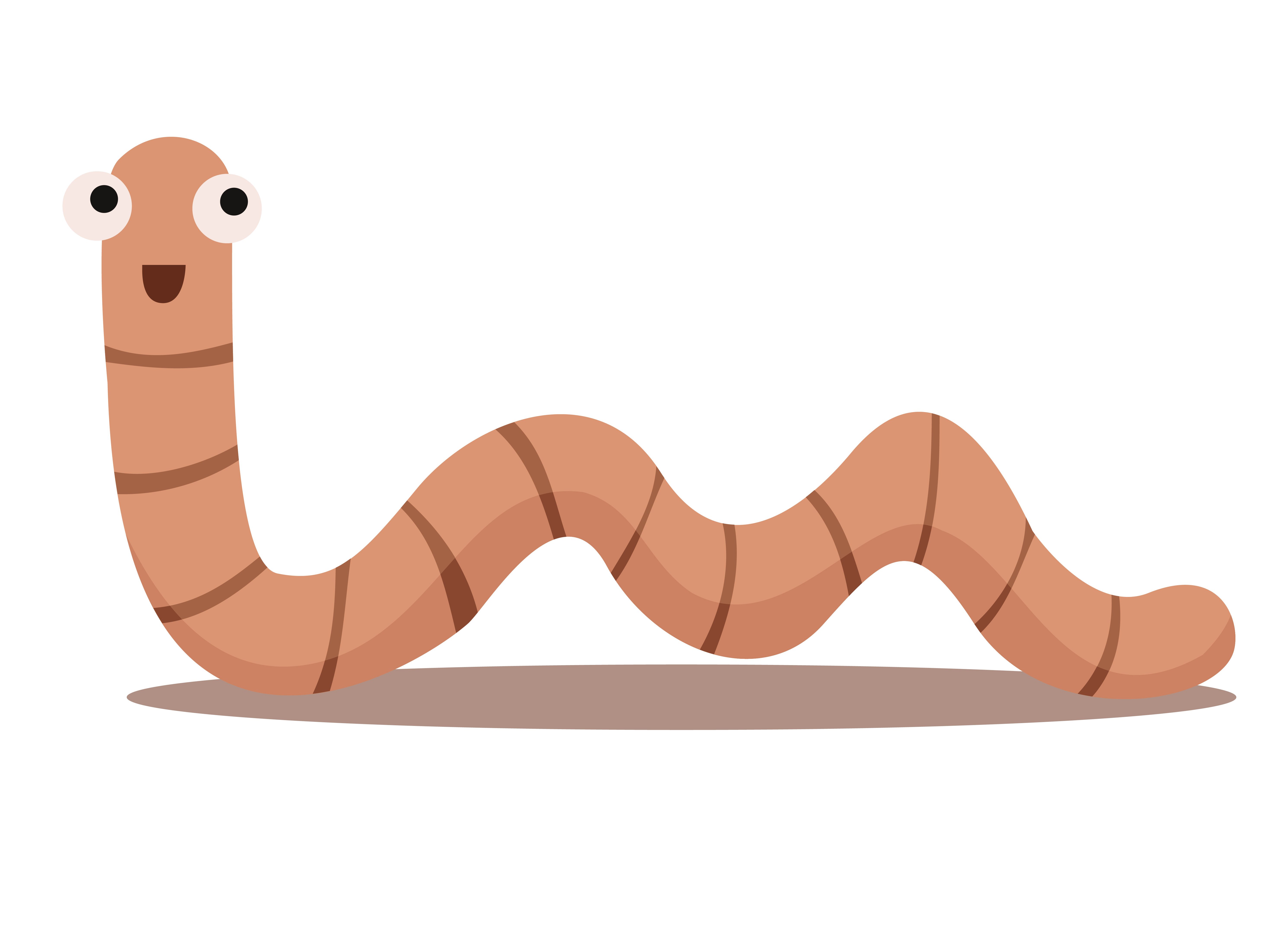 Worm червь