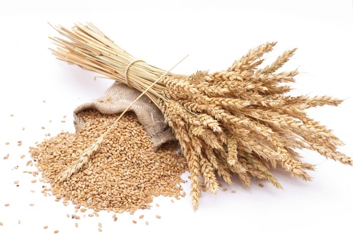 Вред или польза каши пшеничной для ребенка