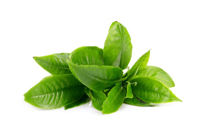 Зеленый чай детям польза или вред
